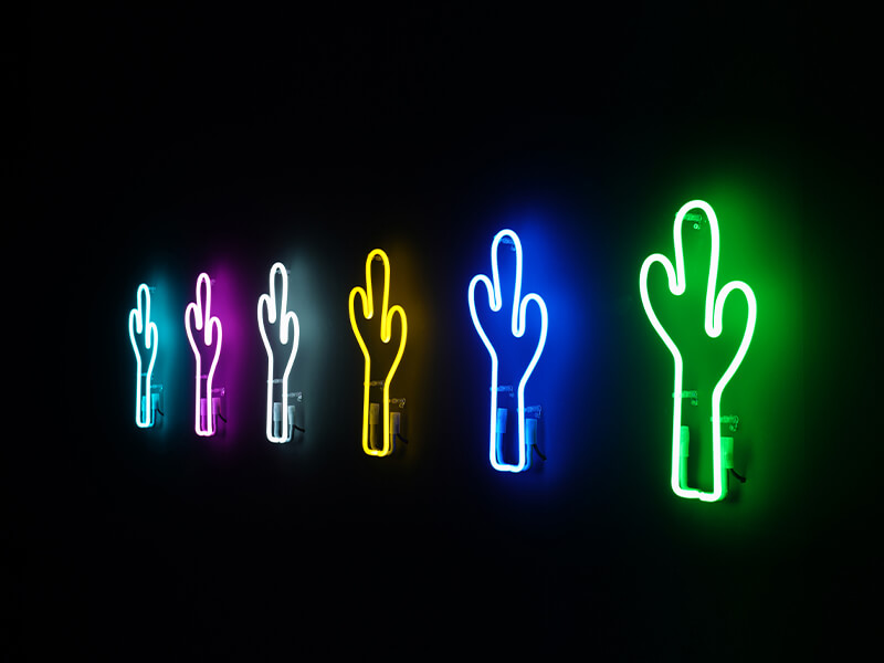 Neon Cactus