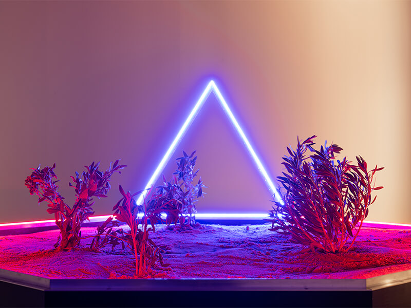 Energy for the Sake of Retaining Power (Solar Symphony 16)