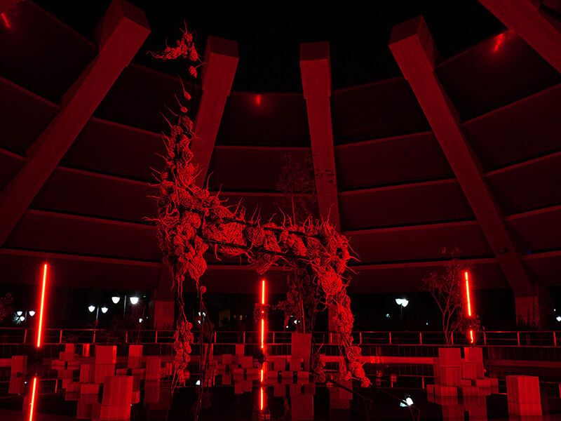 Between Biotic and Bionic