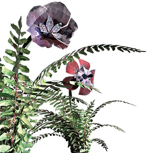 Contre-Plongée (Des fleurs pour Suzanne Clair)