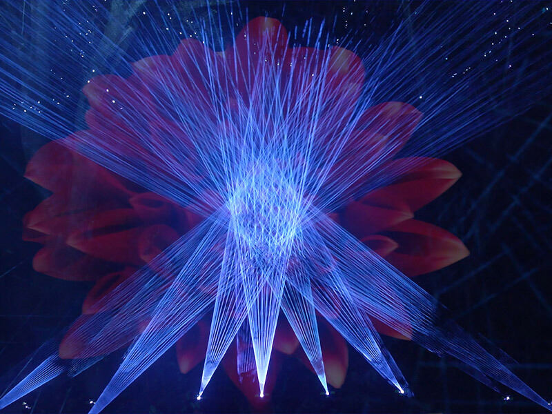 Hika-Rakuyo Spirit Flower