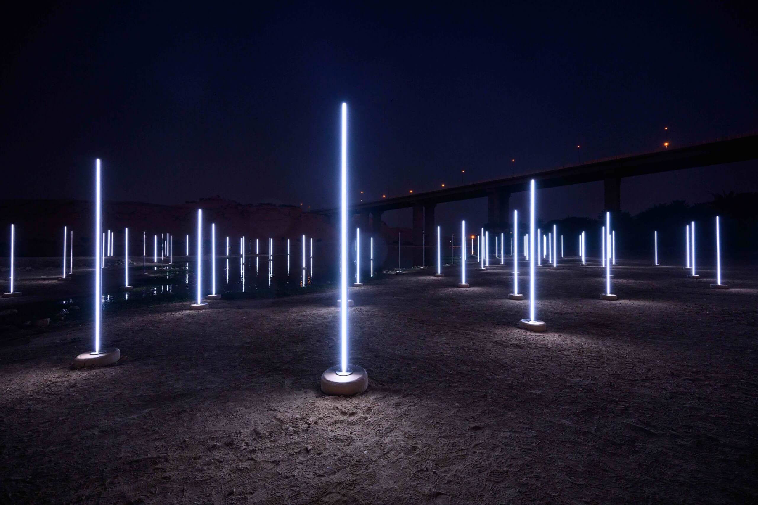 One Thousand Galaxies of Light (Starfield)