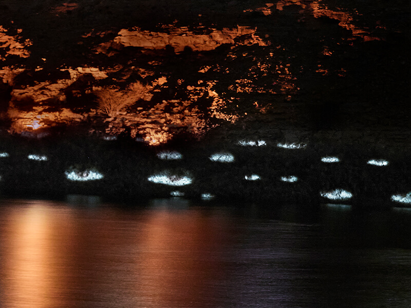 The whites of their eyes