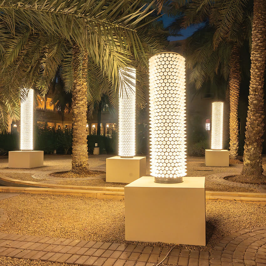 Midwan – The Palm Forest, 2024