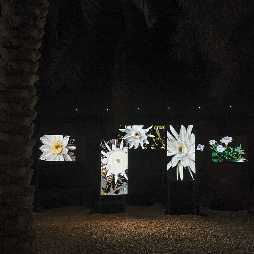 Circadian Nocturne, 2023