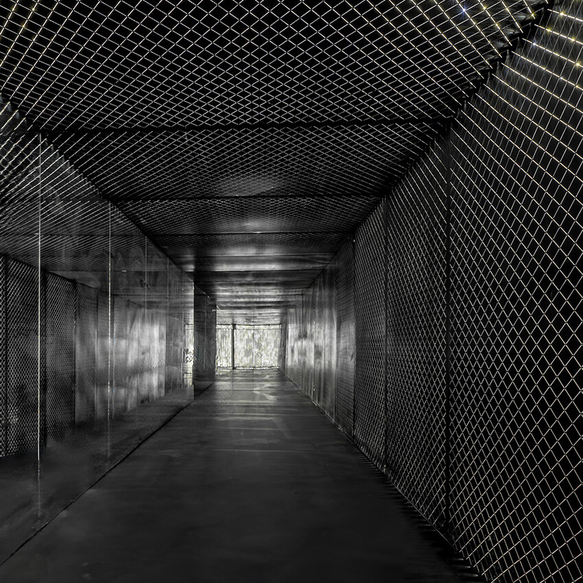 Journey to the Light, 2024