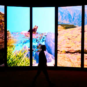 In Light, Together, 2025