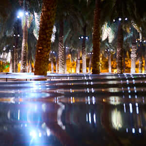 Amidst the thirsty wilderness, 2025